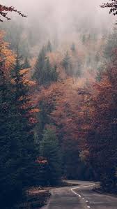 Try changing to these awesome wallpapers. Fall Wallpaper Tumblr Sky Atmospheric Phenomenon Wildfire Smoke Geological Phenomenon Biome Tree Forest Atmosphere Cloud 1271655 Wallpaperkiss