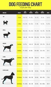 How much should i feed my baby in one sitting? How Much Should I Feed My Dog Your Dog S Complete Nutrition Guide Gallant
