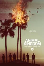 Animal Kingdom Animal Kingdom Tnt Animal Kingdom Tv Show Animal Kingdom