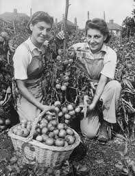 Twin sisters Joyce and Olive Allen Our beautiful Wall Art and Photo Gifts  include Framed Prints, Photo Prints, Poster Prints, Canvas Prints, Jigsaw  Puzzles, Metal Prints and so much more