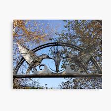 Are there any metal cattails left in stock? Bird And Cattail Wall Art Redbubble