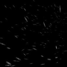 Beautiful Snowing Winter Animated Gifs Snow Gif Aesthetic Gif Photo Overlays