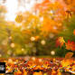 Fall Supper - Donalda event in Donalda, AB