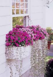30 Bright And Beautiful Window Box Planters Window Box Flowers Window Planter Boxes Flower Garden Design