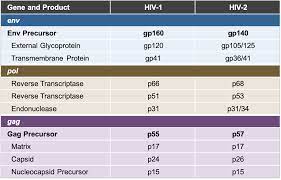 Core Concepts Hiv 2 Infection Key Populations National Hiv Curriculum