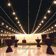 50 count (pack of 1) 4.6 out of 5 stars. Party Decorations Cocktail Party Decorations Melting Flowers