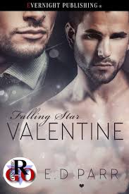 Falling Star Valentine by E.D. Parr