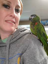 I am so so so excited to bring this to you all: ✨ Do you love proof grade  materials? ✨ Do you love them because they are perfectly smooth and glossy?  Well…say