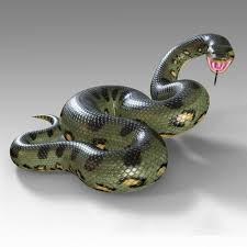 3d Green Anaconda Rig Model Green Anaconda Anaconda Animal Flashcards