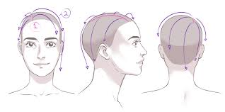 How To Draw Hair Art Rocket Because the focus of this drawing is the hair, i'm just starting out by drawing an oval for my head and then attaching a neck to it. how to draw hair art rocket