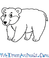 Check spelling or type a new query. How To Draw A Cartoon Polar Bear
