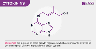We did not find results for: Cytokinins Structure Functions And Uses Of Cytokinins