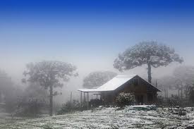 Quer visitar gramado em 2020? Quando Neva Em Gramado E Canela Na Serra Gaucha