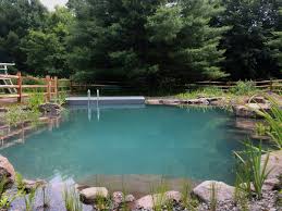 The rewards of keeping a koi pond are great. Natural Swimming Pool Pondworks