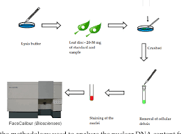 Figure 1 From Flow Cytometry Applied In Tissue Culture