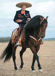 Jerry Diaz Charro De Corazon Western Horseman