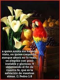 Pin De Yolanda C Acevedo En Tarjetas Cristianas Saludos Cristianos Tarjetitas Cristianas Imagenes Cristianas