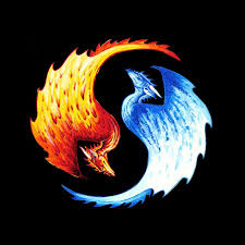All orders are custom made and most ship worldwide within 24 hours. Yin Yang Dragon T Shirts Fire And Ice Dragons Ice Dragon Yin Yang Art