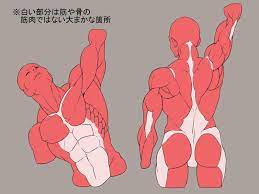 pin de 2two mix en anatomia en 2020 arte de anatomia humana anatomia artistica arte del cuerpo humano