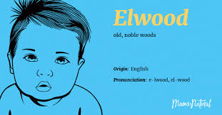 Elwood Name Meaning, Origin, Popularity, Boy Names Like Elwood