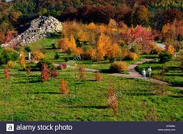 Forstbotanischer Garten Tharandt Der Tu Dresden Sachsen Deutschland Stock Photo Alamy