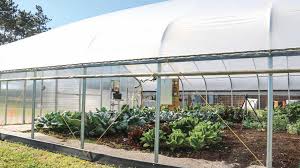 Ideally, exhaust fans should be placed towards the roof of the greenhouse, opposite the door. How To Create The Ideal Ventilation System For Your Greenhouse Greenhouse Grower