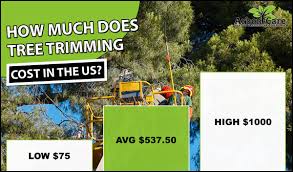 Maybe you would like to learn more about one of these? Tree Removal Cost 2020 Average Prices Near Me