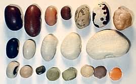Maybe you would like to learn more about one of these? All About Beans And Legumes Usa Emergency Supply