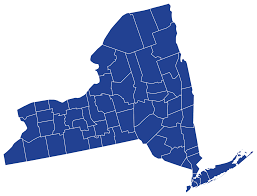 2020 New York Democratic Presidential Primary Wikipedia