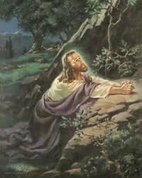 Jesus was very upset the night he was betrayed. Jesus At The Garden Of Gethsemane Pictures