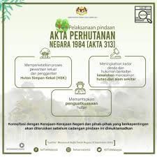 We did not find results for: Akta Perhutanan Pmgm Persatuan Malim Gunung Malaysia Facebook
