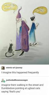Dumbledor Has To Have Done This At One Point Harry Potter Funny Harry Potter Harry Potter Universal