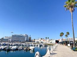 Image result for Faroa duvigneaud