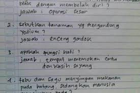 16 jawaban soal ujian yang pasti bikin sang guru terpingkal pingkal. Jawaban Anak Kelas 6 Sd Bikin Kesel Tapi Sekaligus Ngakak Ini Jawaban Pertanyaan Soal Ujian Hahaha