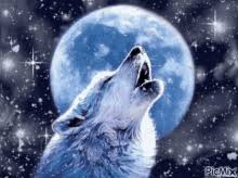 How to make a wolf howl on gifs? Wolf Moon Gifs Tenor