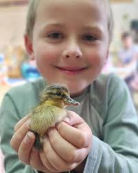 Kitchener Waterloo...