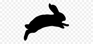 Free arctic hare cliparts, download free clip art, free. Arctic Hare European Hare European Rabbit Snowshoe Hare Domestic Bunny Clipart Outline Stunning Free Transparent Png Clipart Images Free Download