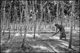 Maybe you would like to learn more about one of these? Zoriah A Photojournalist And War Photographer S Blog Rohingya Woman Sweeping Refugee Camp