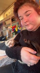 Male ferret named Beans lost near Nangiloc