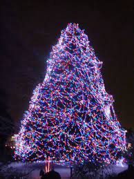 Toledo Zoo 1 Lights Before Christmas Toledo Zoo Lights Weather Underground