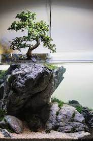 Bonsai Pun Dapat Di Satukan Di Dalam Konsep Aquascape Aquascape Aquarium Gangabc Akafarm Purwokerto Purwokertoid Taman Indah Akuarium Pohon Bonsai