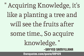 Your initial seed of insight becomes a tree of knowledge and 3. Acquiring Knowledge It S Like A Planting A Tree And Will See Ownquotes Com