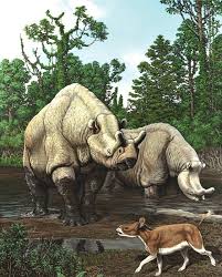 Climate Change Linked To Extinction Brown Daily Herald Prehistoric Animals Ancient Animals Prehistoric Wildlife