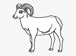 Start off by drawing the basic guidelines for the head. Mountain Goat Clipart Sheep Desert Bighorn Sheep Bighorn Sheep Drawing Easy Png Goat Horns Png Free Transparent Png Images Pngaaa Com