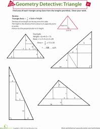 Centers Of Triangles Worksheet Beautiful Geometry Detective Triangle In 2020 Teaching Geometry Triangle Worksheet Math Geometry