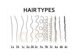 This hair type is usually very dry and can be easy to damage. Different Types Of Hair Textures Natural Hair Types Know Your Curl Type