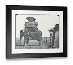 Print of India - Hunting Elephant with Sporting Howdah in Black and White. Art Prints, Posters & Puzzles from Mary Evans