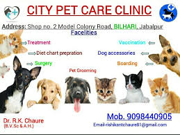 Check spelling or type a new query. City Pet Care Clinic Home Facebook