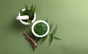 Ayurveda: A gift from the Ancient to the Modern - Rishihood University,  Delhi NCR