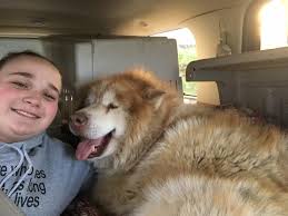 The want ad digest is an online marketplace where you can find the best deals on used or new items. End Mohawk Valley S Puppy Mills Posts Facebook